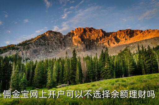 傭金寶網(wǎng)上開(kāi)戶(hù)可以不選擇余額理財(cái)嗎