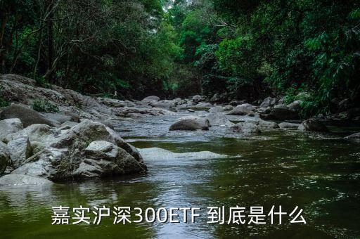 深證etf是什么，ETF 是什么意思