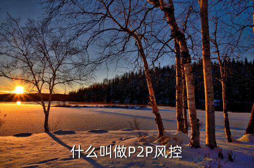 什么是風控機制，白條風控是什么意思
