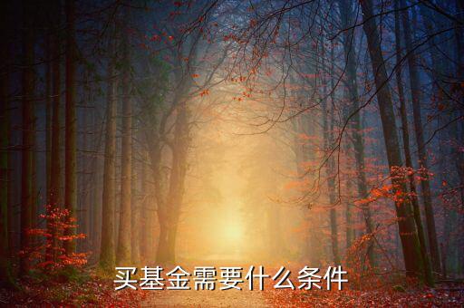 買基金有什么條件，買基金都需要什么條件啊
