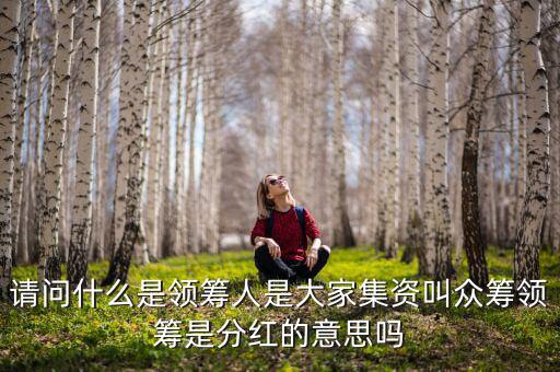 什么是領(lǐng)投人，請(qǐng)問(wèn)什么是領(lǐng)籌人是大家集資叫眾籌領(lǐng)籌是分紅的意思嗎