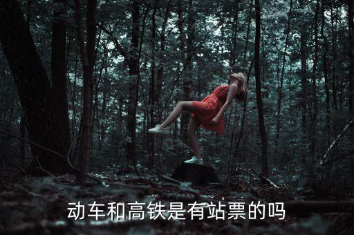 為什么高鐵沒(méi)有站票，為什么高鐵沒(méi)有站票