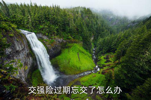 交強(qiáng)險(xiǎn)過(guò)期忘交了怎么辦