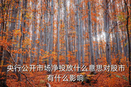 什么是央行凈投放，央行凈投放是甚么意思