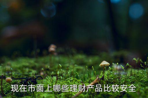 什么理財產(chǎn)品安全，做理財哪種安全些