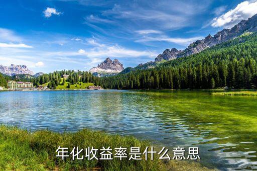 14日年化收益率是什么意思，年化收益率什么意思