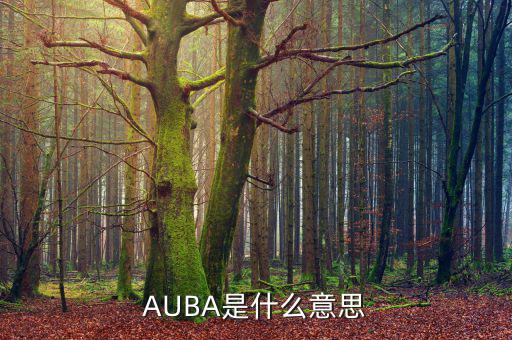 華夏現(xiàn)金增利貨幣a是什么，AUBA是什么意思