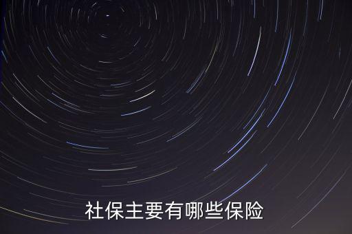社保主要有哪些保險(xiǎn)