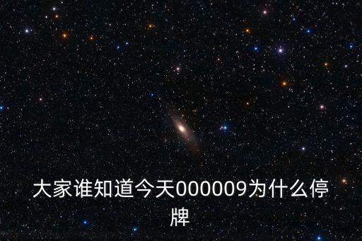 華潤(rùn)雙鶴為什么停牌，002407為何停牌