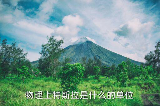 etp是什么，物理上特斯拉是什么的單位