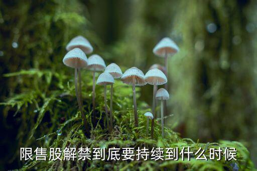 St云網(wǎng)限售股什么時(shí)候解禁，限售股解禁到底要持續(xù)到什么時(shí)候現(xiàn)在搞完一半了嗎