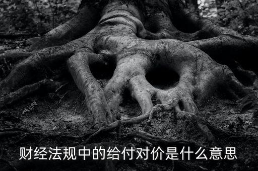 支付對價是什么意思，財經(jīng)法規(guī)中的給付對價是什么意思