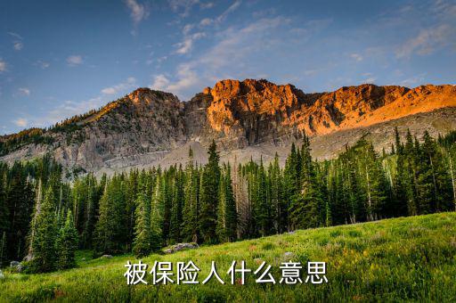 交強(qiáng)險(xiǎn)中的被保險(xiǎn)人是什么意思，什么是交強(qiáng)險(xiǎn)合同的被保險(xiǎn)人