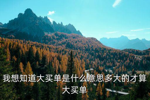 什么是超大買單，下跌過程中出現(xiàn)超大買單什么意思
