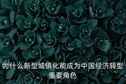 為什么新型城鎮(zhèn)化能成為中國經濟轉型重要角色