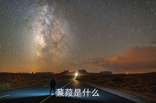 什么蒹施，蒹葭是什么意思
