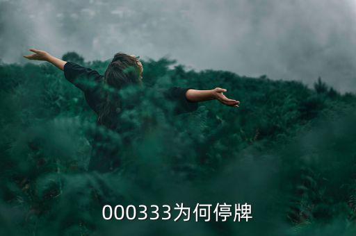 000333為什么停盤，000333為何停牌