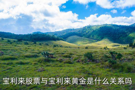 為什么寶利來大漲，寶利來會(huì)漲嗎