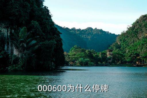 軟控股份為什么停牌，002399今天為什么停牌