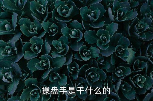 股票操盤手做什么，操盤手是干什么的