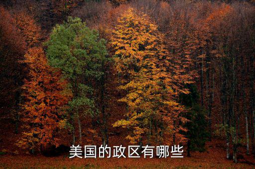 美國地方政府自治包括什么，美國的政府體制是什么