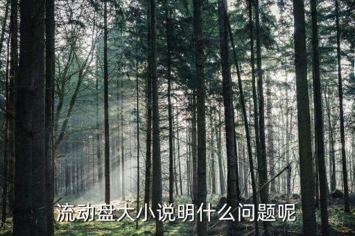 流通盤大小是什么意思，流通盤大小作用等