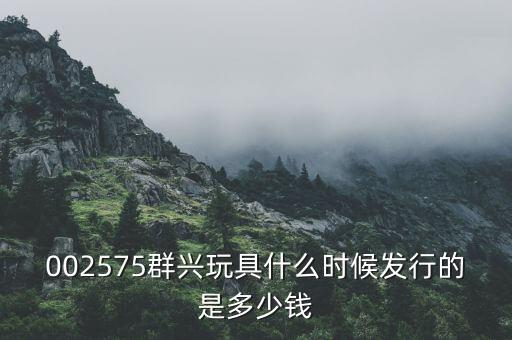 002575群興玩具什么時(shí)候發(fā)行的是多少錢(qián)