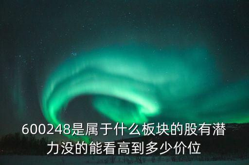 川儀股份是什么板塊，600248是屬于什么板塊的股有潛力沒的能看高到多少價位