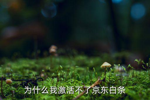 為什么京東的白條激活不了，京東商城的白條為什么激活不了