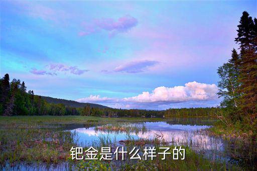 怎么才能認出是鈀金,黃金、鉑、鈀、銀四大金屬品種含量較低