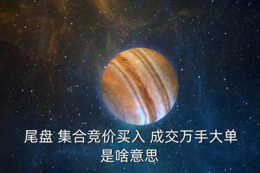 尾盤 集合競(jìng)價(jià)買入 成交萬手大單是啥意思