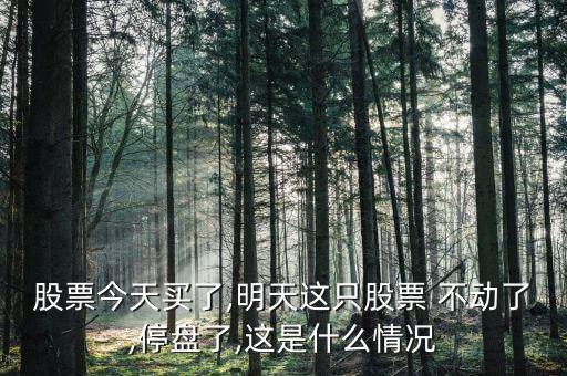 股票今天買(mǎi)了,明天這只股票 不動(dòng)了,停盤(pán)了,這是什么情況