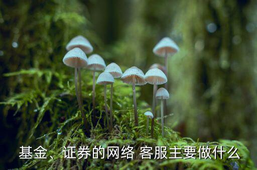 基金、證券的網(wǎng)絡(luò) 客服主要做什么