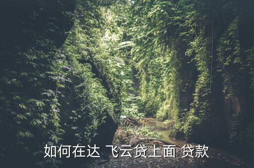 達(dá)飛云貸怎么樣可以貸款嗎,申請小額貸款需要幾個步驟