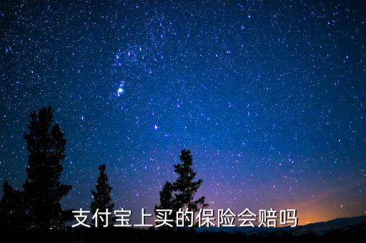  支付寶上買的保險(xiǎn)會(huì)賠嗎