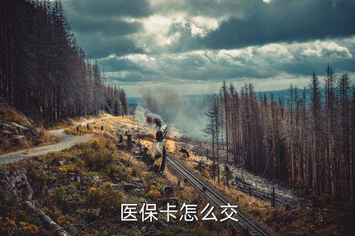 醫(yī)?？ㄔ趺蠢U納,如何繳納職工醫(yī)保?