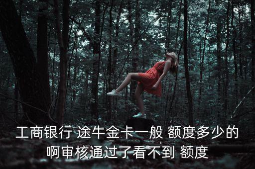 工商銀行 途牛金卡一般 額度多少的啊審核通過(guò)了看不到 額度