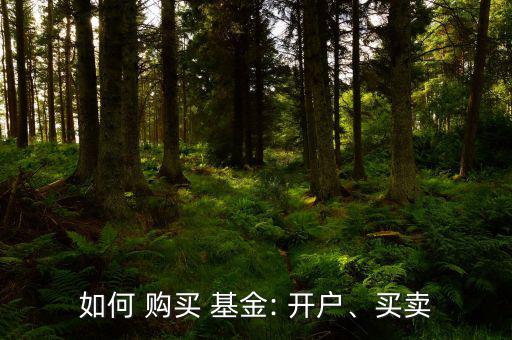 如何 購買 基金: 開戶、買賣