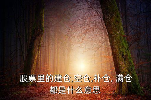 股票滿倉會怎么樣,建倉就是適當(dāng)時(shí)候買入股票