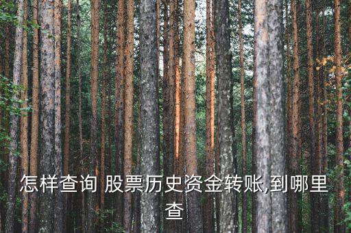 怎么查看一只股票的歷史,新交易系統(tǒng)允許用戶查詢(xún)歷史交易