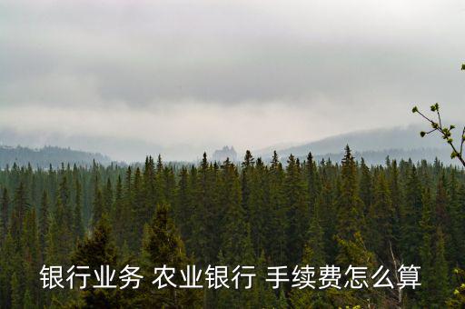 銀行業(yè)務(wù) 農(nóng)業(yè)銀行 手續(xù)費(fèi)怎么算