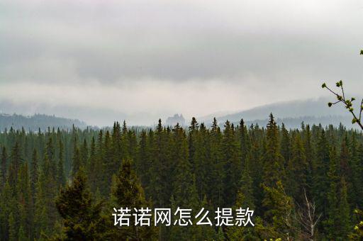  諾諾網怎么提款