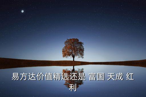 易方達(dá)價(jià)值精選還是 富國 天成 紅利