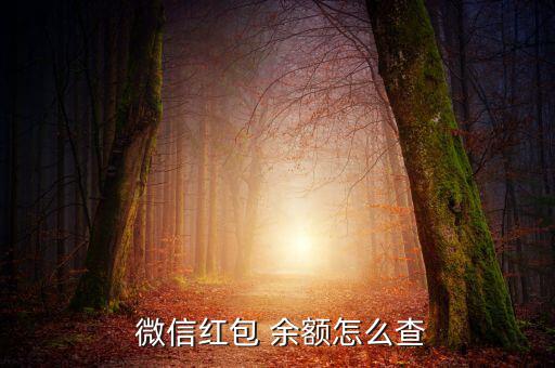 微信余額怎么查,微信查詢銀行卡余額流程如下；