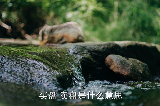  買(mǎi)盤(pán) 賣(mài)盤(pán)是什么意思