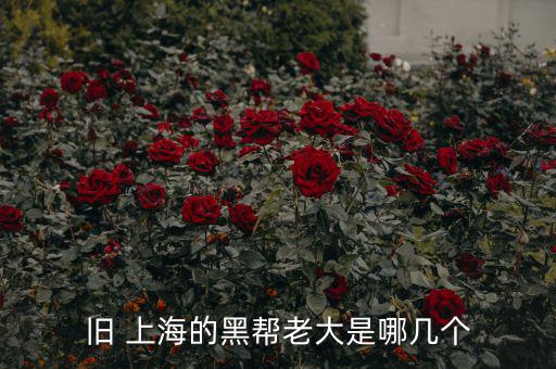 上?；バ沤鹑谠趺礃?上海五國會議機制前身是五國集團主席