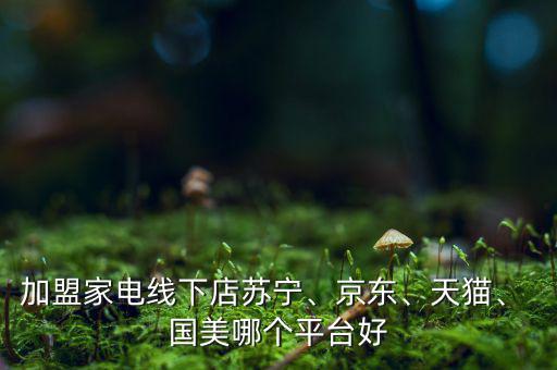 加盟家電線下店蘇寧、京東、天貓、 國美哪個平臺好