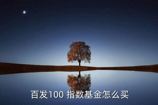  百發(fā)100 指數(shù)基金怎么買(mǎi)