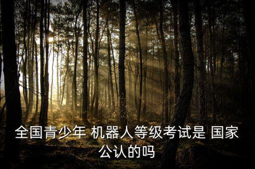 全國青少年 機器人等級考試是 國家公認的嗎