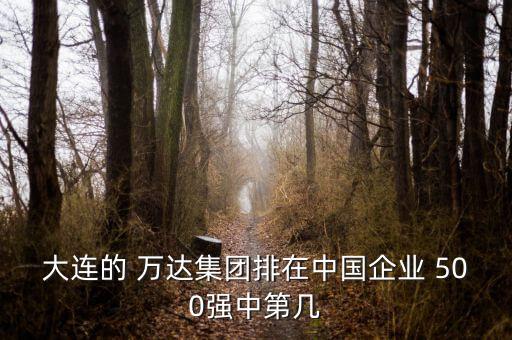 大連的 萬達(dá)集團(tuán)排在中國企業(yè) 500強中第幾